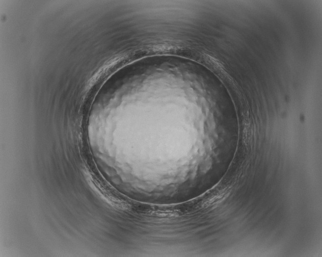 X0000056000443200509021708