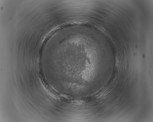 X0000056000444200509021708