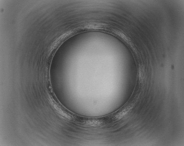 X0000056000445200509021708