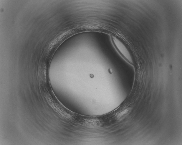 X0000056000446200509021708