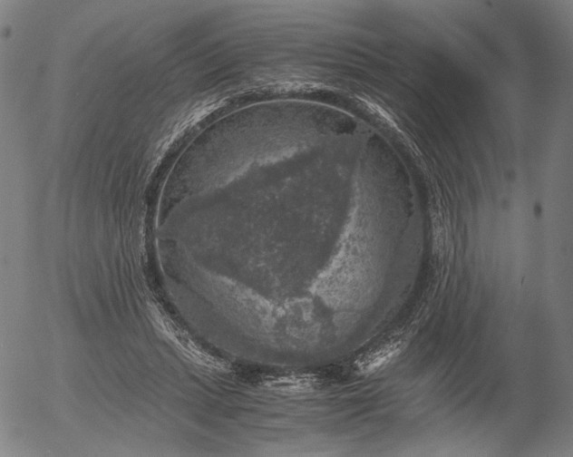 X0000056000447200509021708