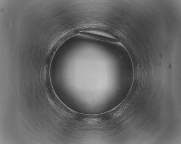 X0000056000448200509021708