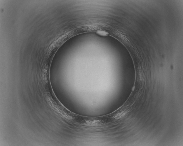 X0000056000450200509021708