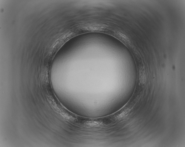 X0000056000453200509021708