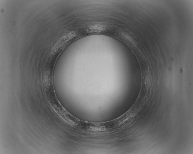 X0000056000455200509021708