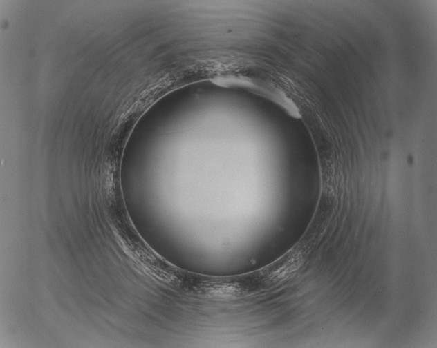 X0000056000456200509021708