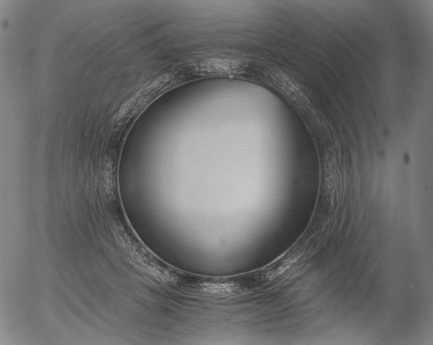 X0000056000457200509021708