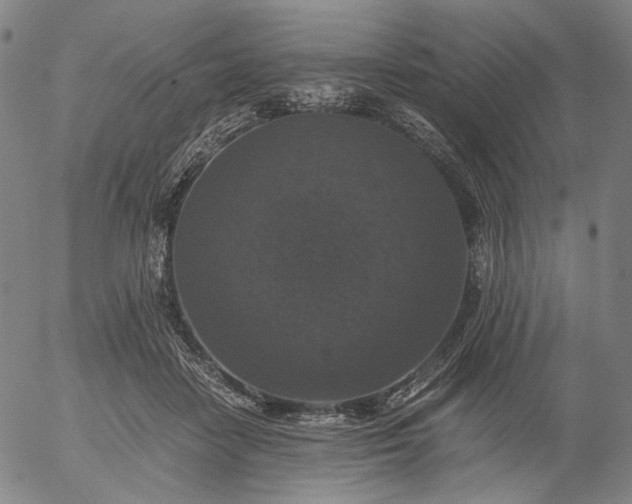 X0000056000458200509021708