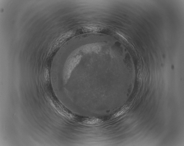 X0000056000459200509021708