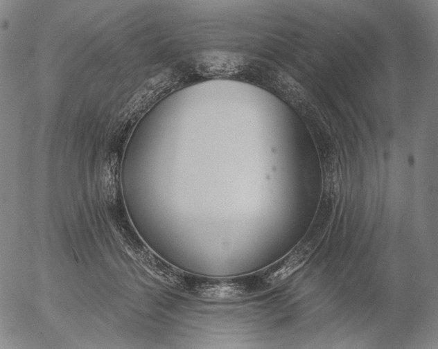 X0000056000460200509021708