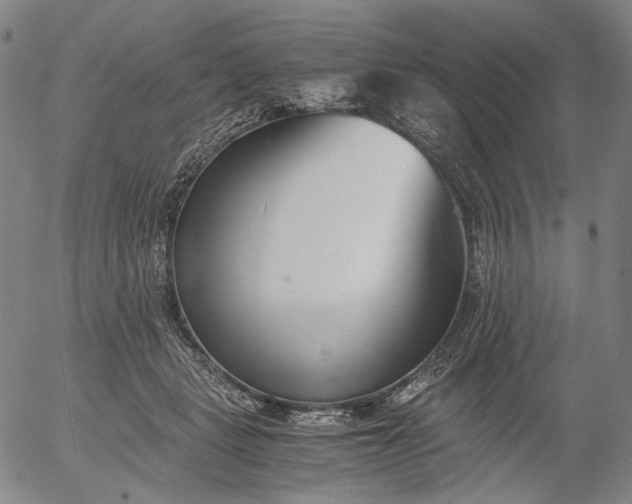 X0000056000461200509021708