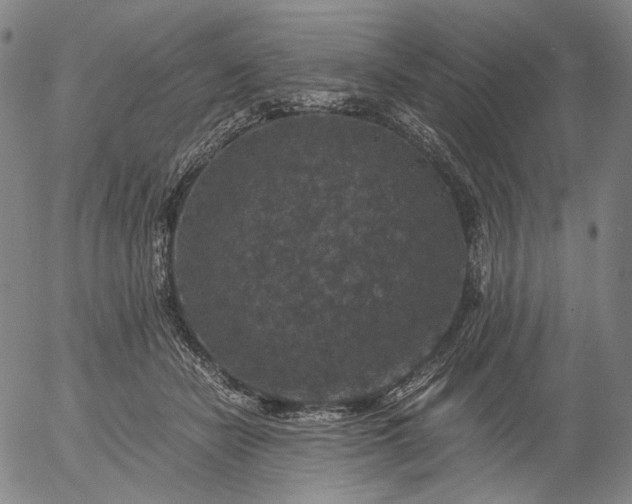 X0000056000462200509021708