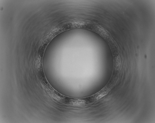 X0000056000463200509021708