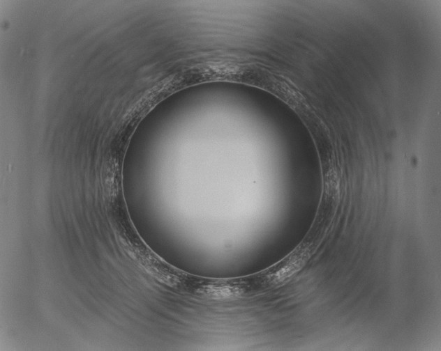 X0000056000464200509021708