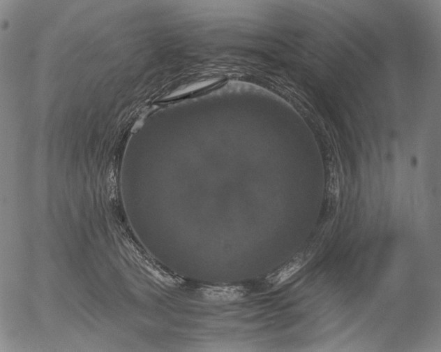 X0000056000465200509021708