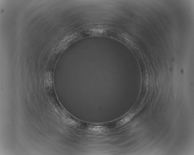 X0000056000467200509021708