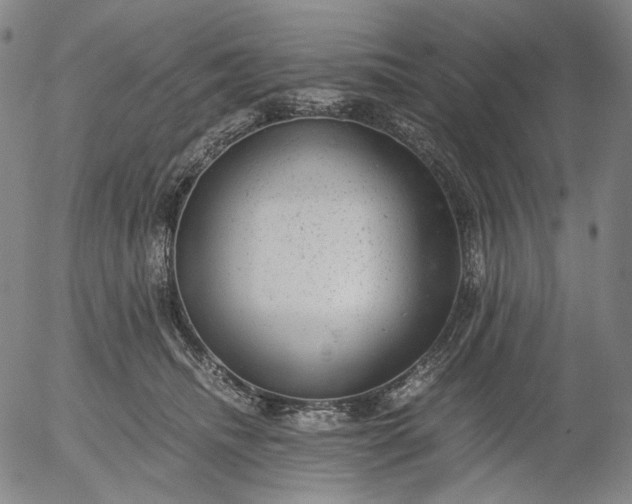 X0000056000468200509021708