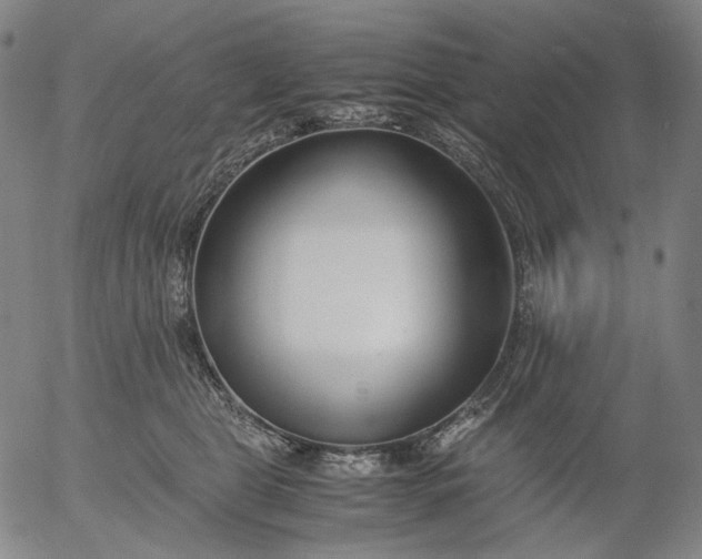 X0000056000469200509021708