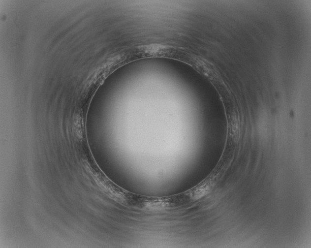 X0000056000470200509021708