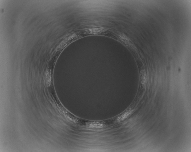 X0000056000471200509021708