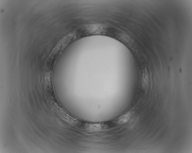 X0000056000473200509021709