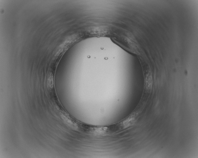 X0000056000474200509021709