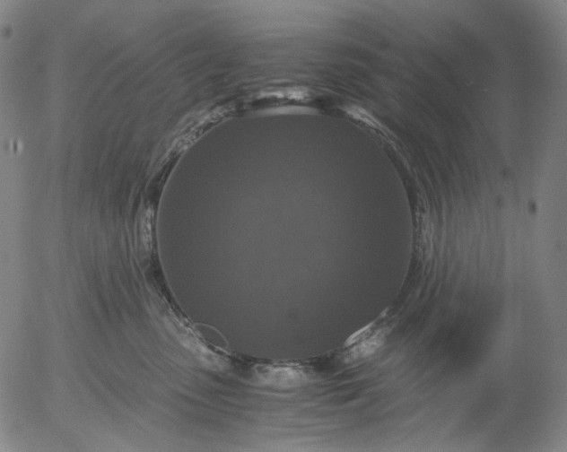 X0000056000475200509021709