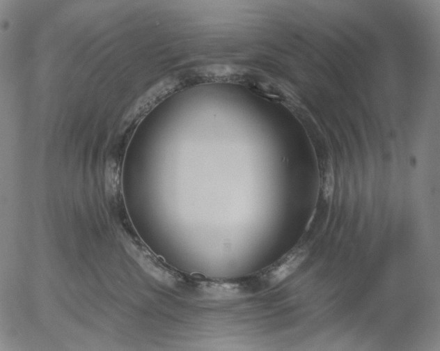 X0000056000476200509021709