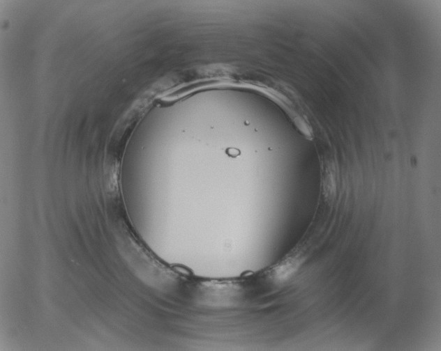 X0000056000477200509021709