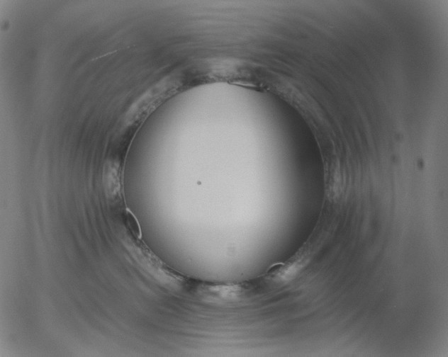 X0000056000478200509021709