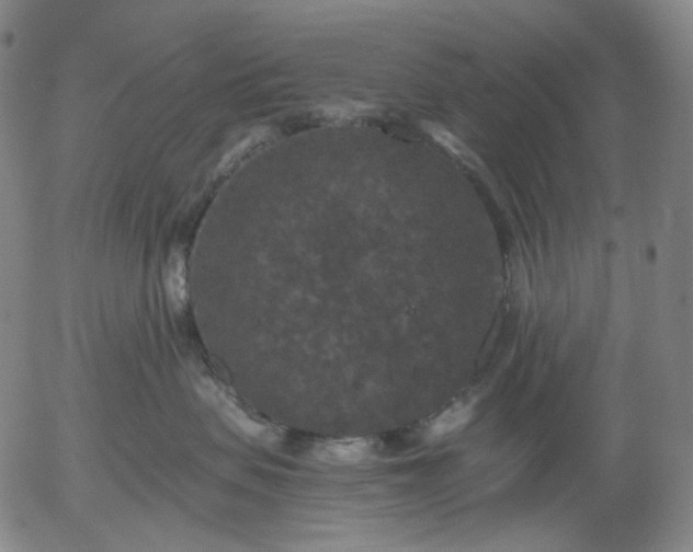 X0000056000479200509021709