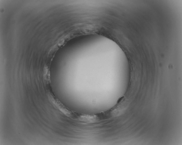 X0000056000480200509021709