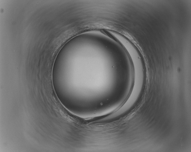 X0000056000481200509021708