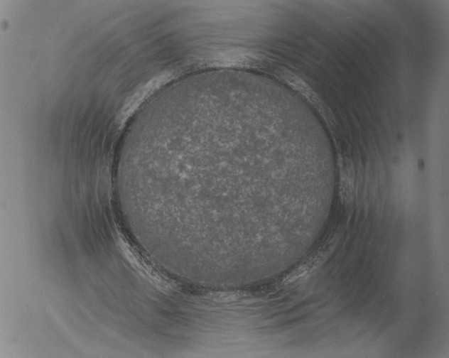 X0000056000482200509021708