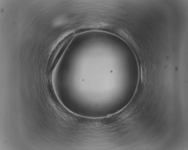 X0000056000483200509021708