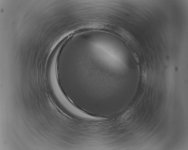 X0000056000484200509021708