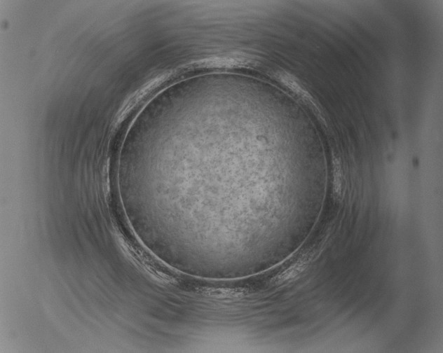 X0000056000486200509021708