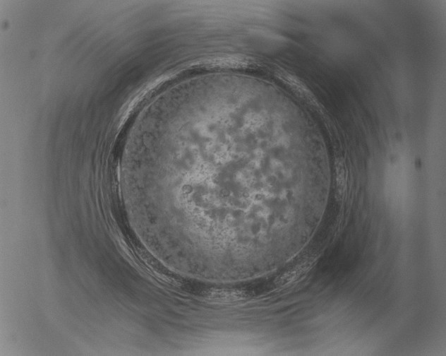 X0000056000487200509021708