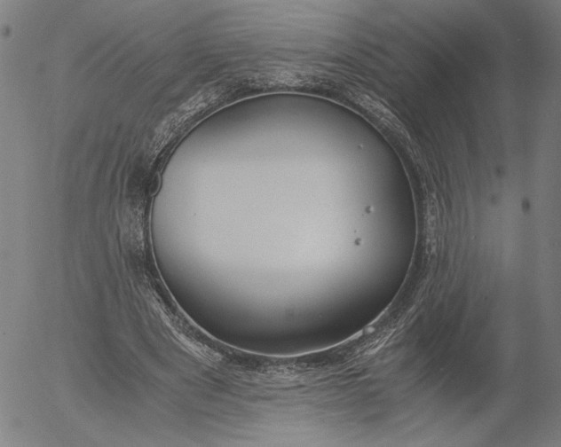 X0000056000489200509021708