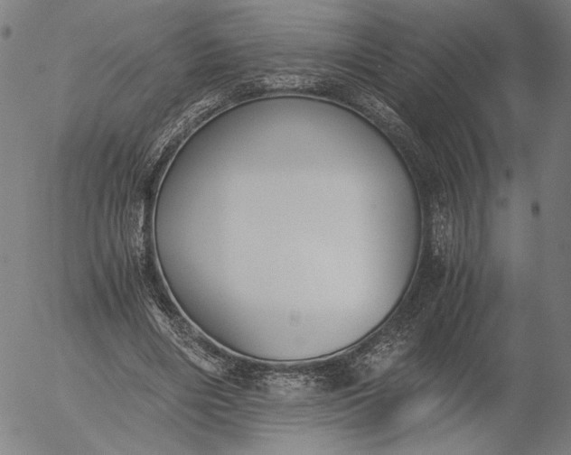 X0000056000490200509021708