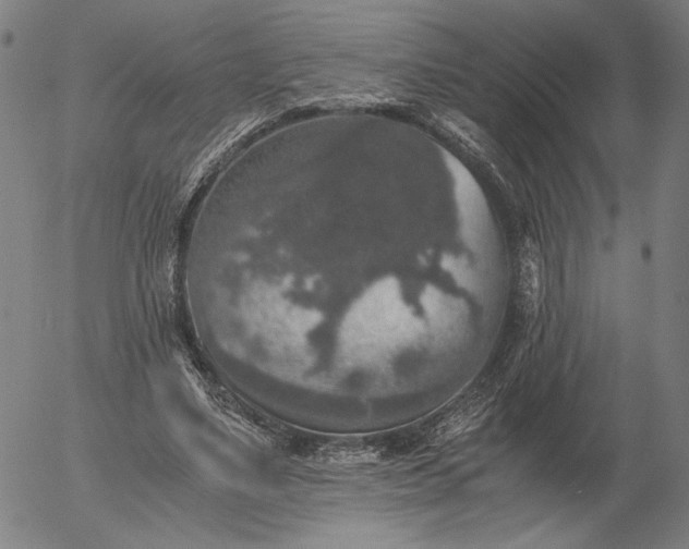 X0000056000491200509021708