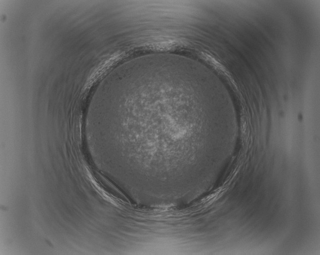 X0000056000493200509021708