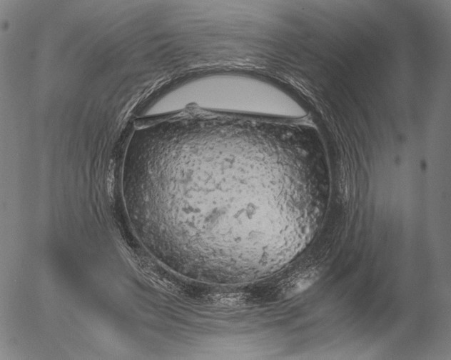 X0000056000495200509021708