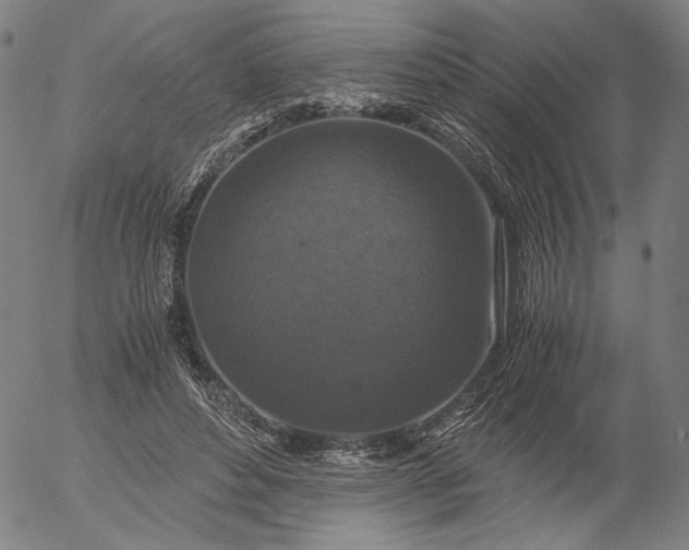 X0000056000496200509021708