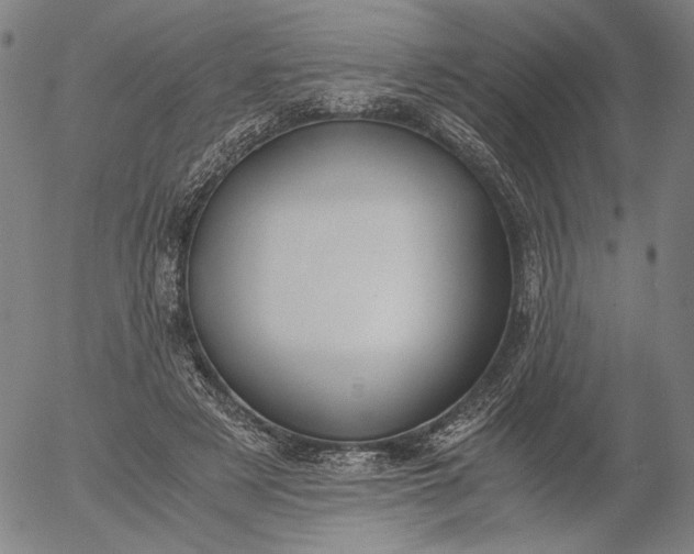 X0000056000497200509021708