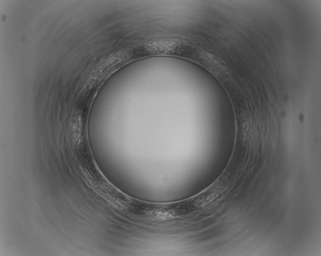 X0000056000498200509021708