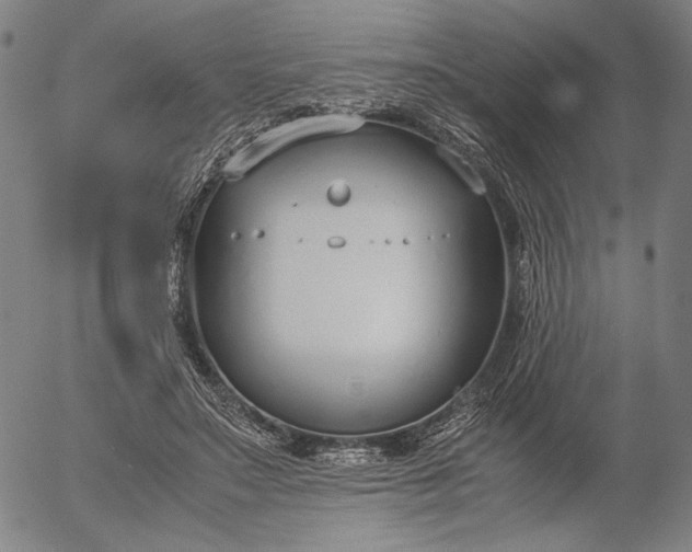 X0000056000499200509021708