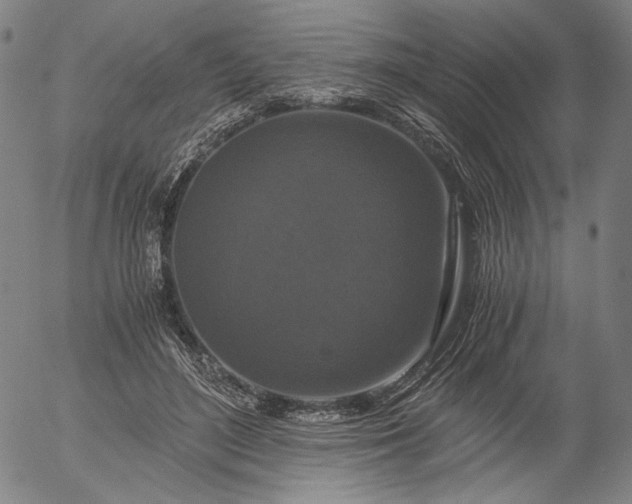 X0000056000500200509021708