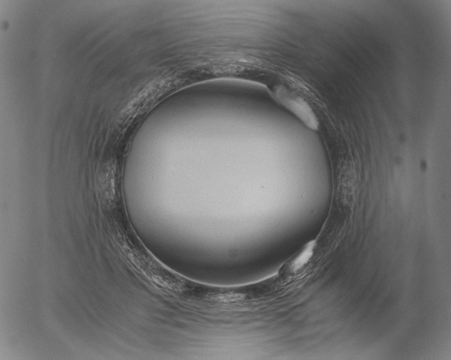 X0000056000501200509021707