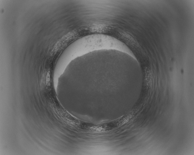 X0000056000502200509021707